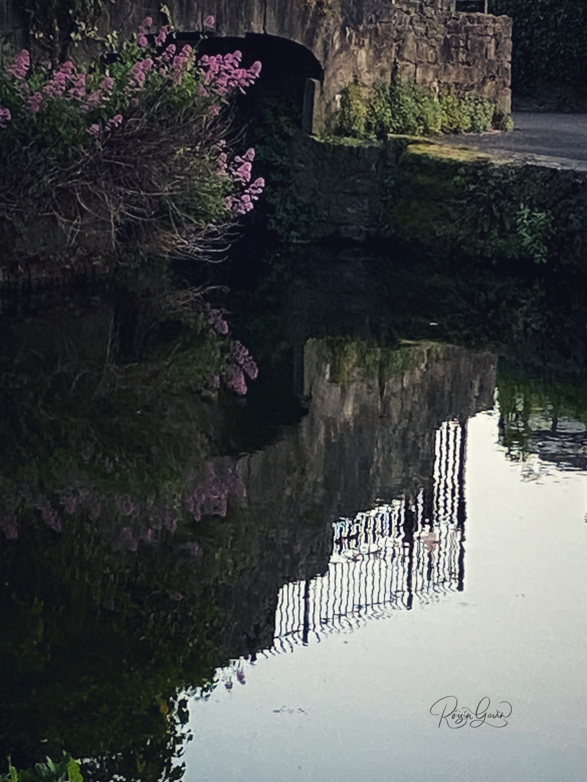 Muted heather canal view print