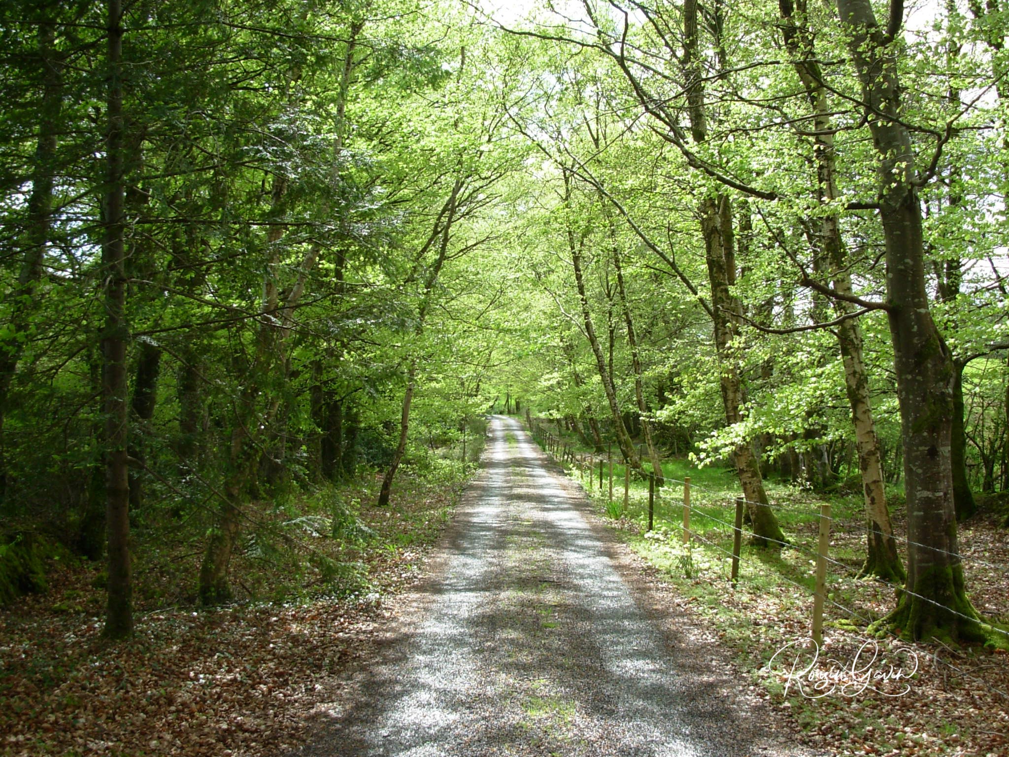 The long and winding road print