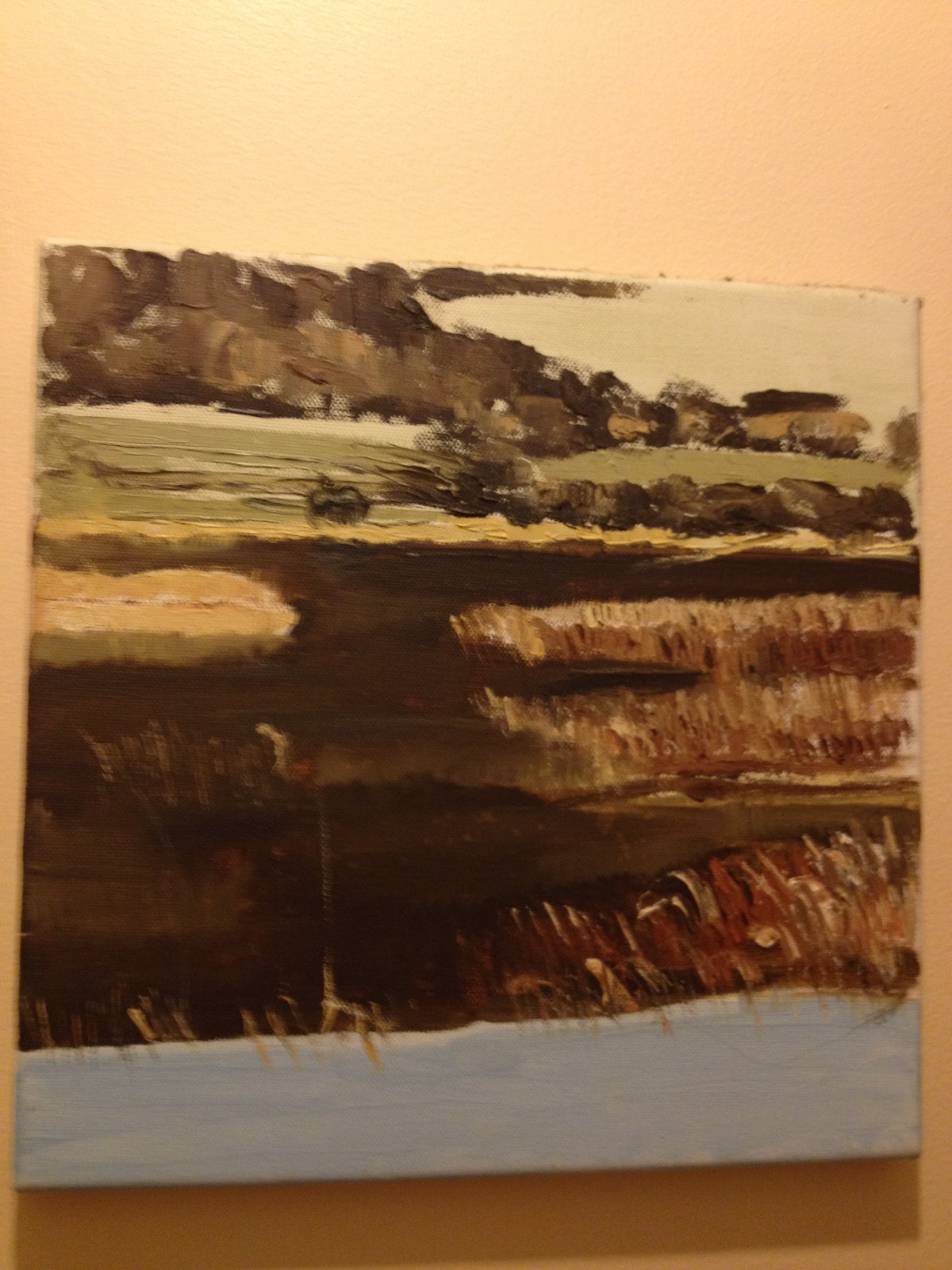 Irish landscape study