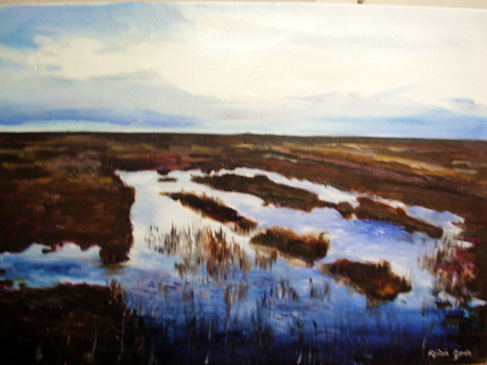 Irish boglandscape oilpainting