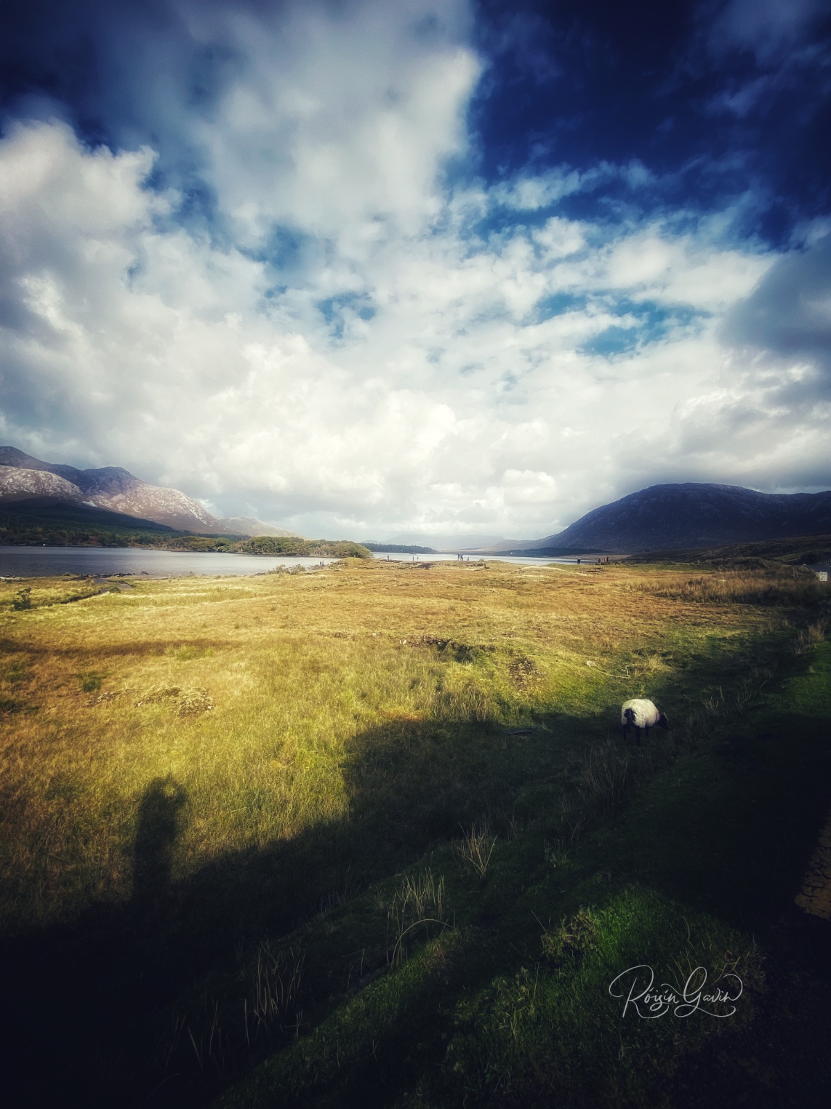 Shadow dancing of the day print