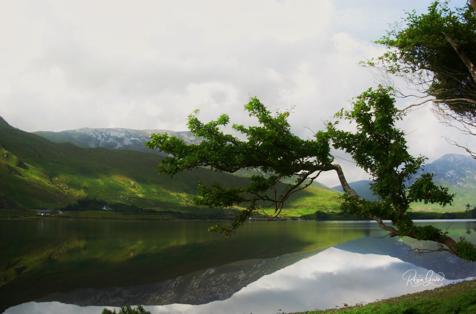Verdant scene in Connemara print
