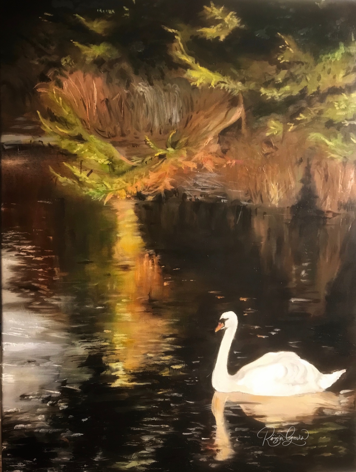 Swan at Mill street oilpainting