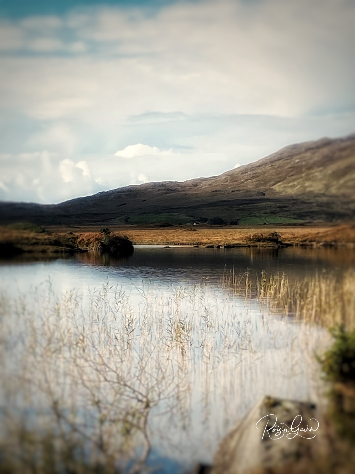 Connemara in the Autumn print