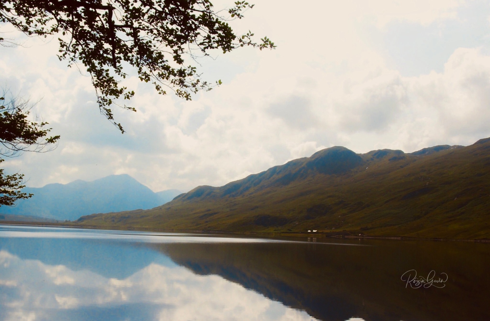 Reflections in the West print